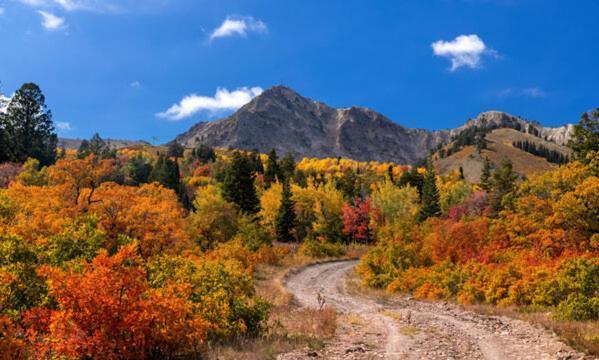 Wolf Creek Lodge Condo In Eden, Ut - Relaxing Mountain Retreat Extérieur photo